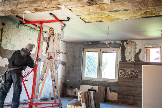 Best Types of Insulation in Eureka, MO