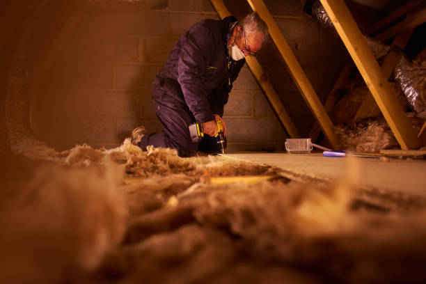 Best Insulation Maintenance and Repair in Eureka, MO